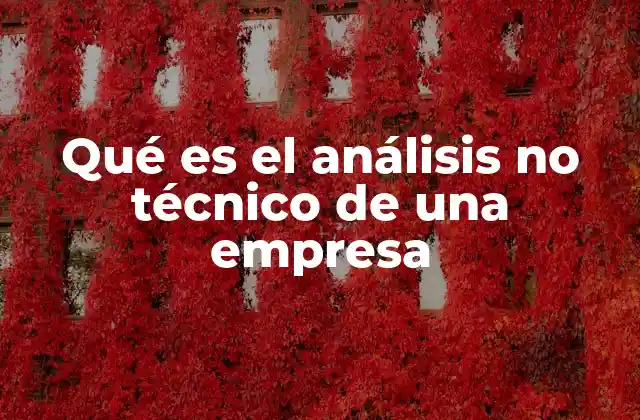 Qué es el Análisis No Técnico de una Empresa