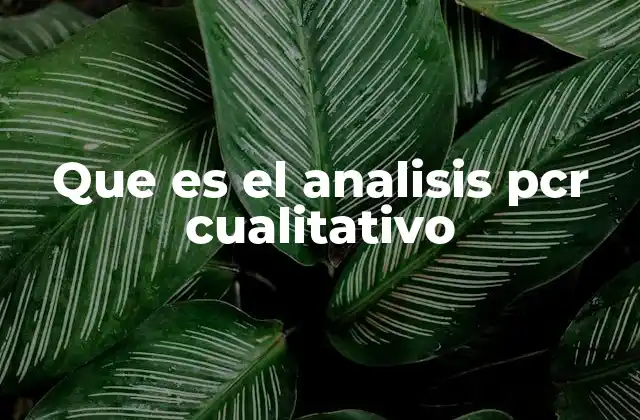 Que es el Analisis Pcr Cualitativo