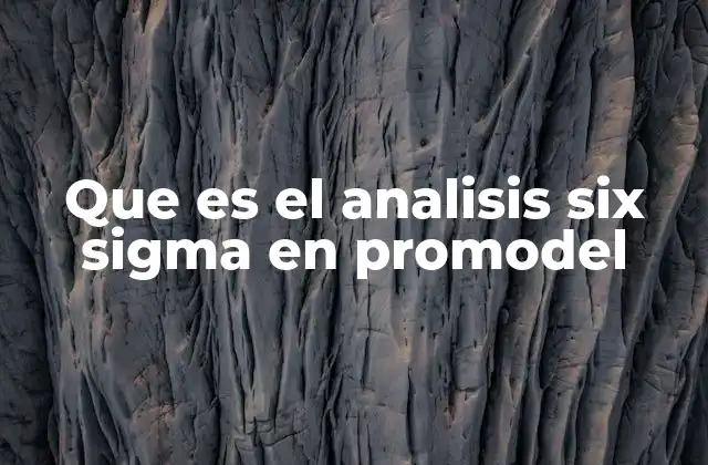 Que es el Analisis Six Sigma en Promodel