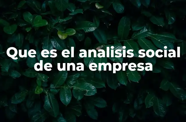 Que es el Analisis Social de una Empresa
