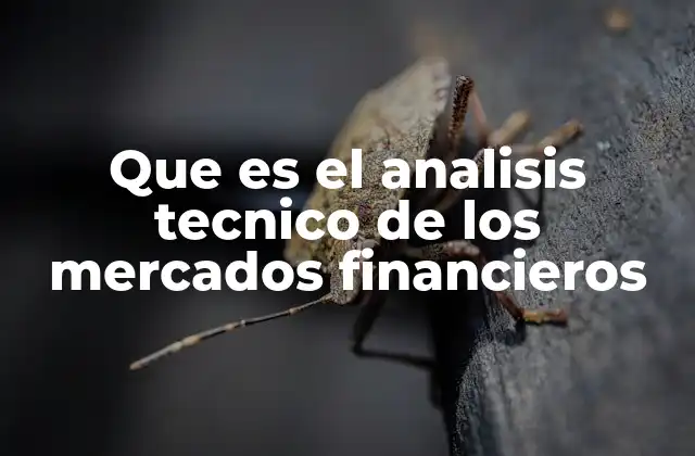 Que es el Analisis Tecnico de los Mercados Financieros