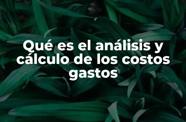 Qué es el Análisis y Cálculo de los Costos Gastos