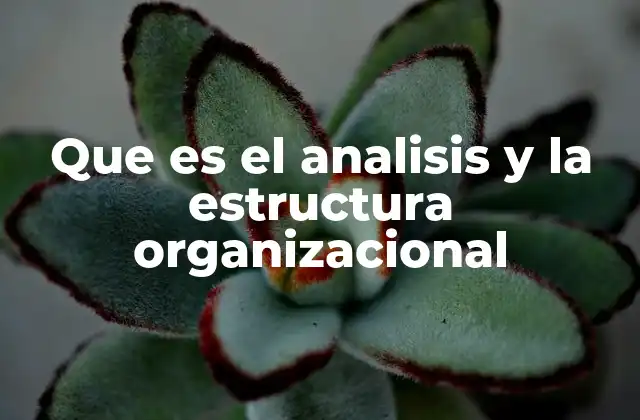 Que es el Analisis y la Estructura Organizacional
