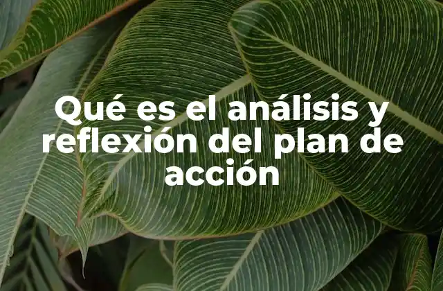 Qué es el Análisis y Reflexión Del Plan de Acción