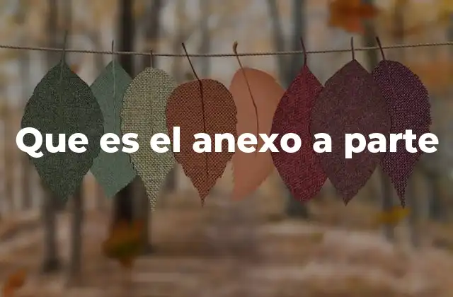 Que es el Anexo a Parte