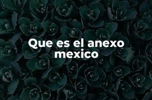 Que es el Anexo Mexico