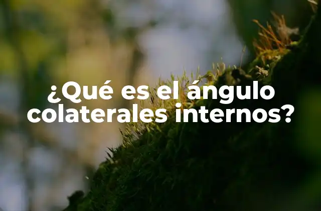 ¿qué es el Ángulo Colaterales Internos?