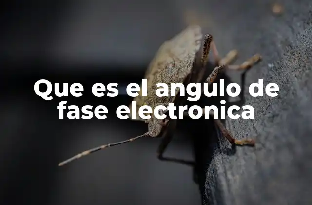 Que es el Angulo de Fase Electronica