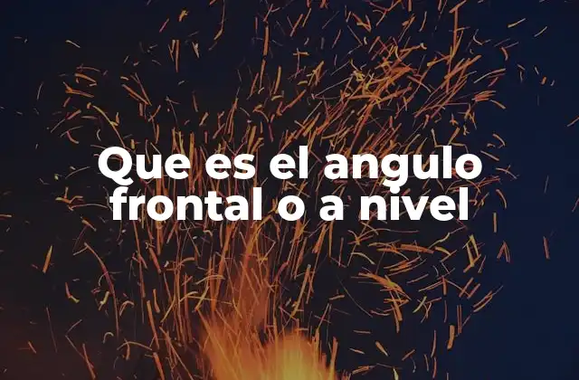Que es el Angulo Frontal o a Nivel