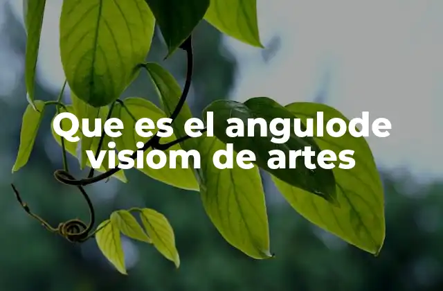 Que es el Angulode Visiom de Artes