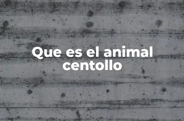 Características físicas y hábitos del centollo