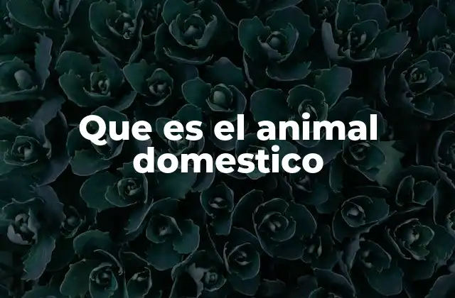 Que es el Animal Domestico