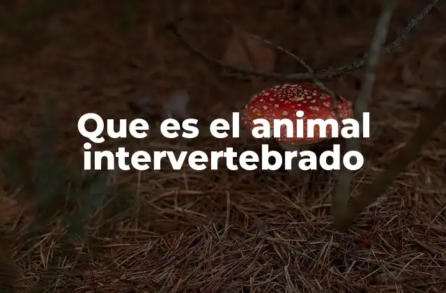 La importancia de los animales intervertebrados en los ecosistemas