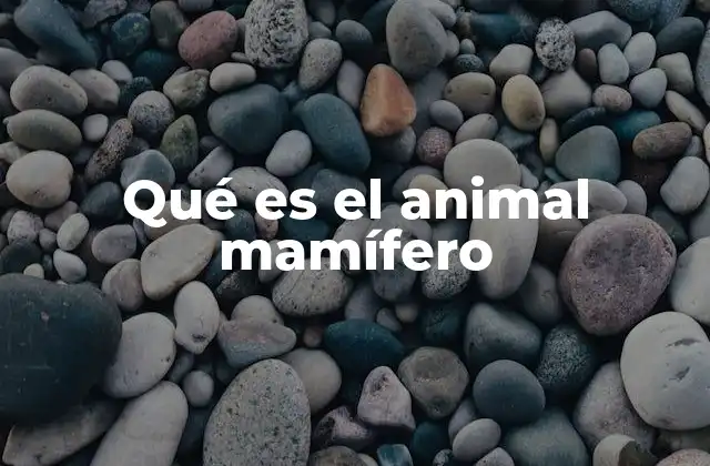 Qué es el Animal Mamífero
