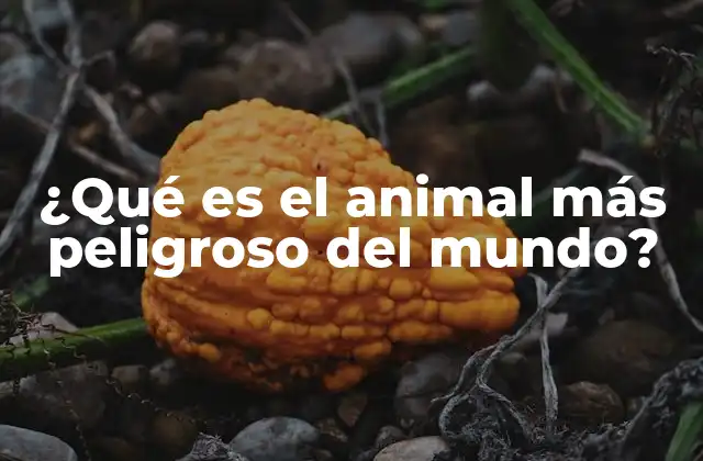 ¿qué es el Animal Más Peligroso Del Mundo?