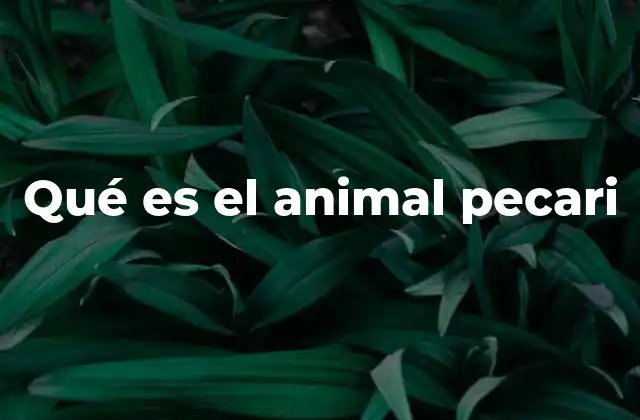 Qué es el Animal Pecari