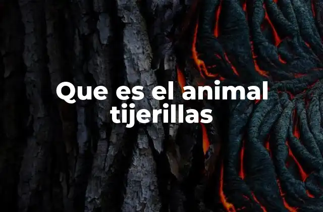 Que es el Animal Tijerillas