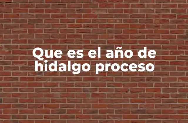 Que es el Año de Hidalgo Proceso