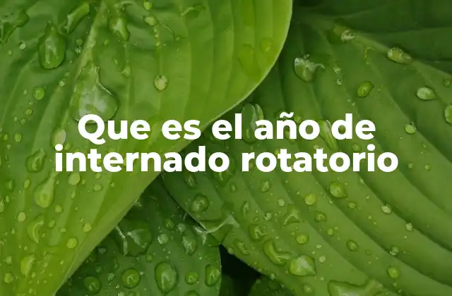 Que es el Año de Internado Rotatorio