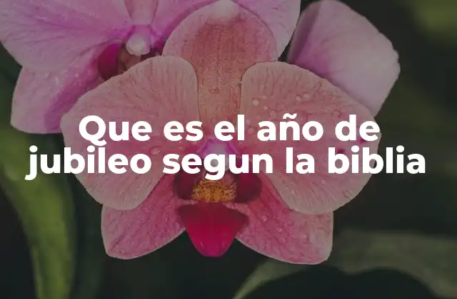 Que es el Año de Jubileo Segun la Biblia