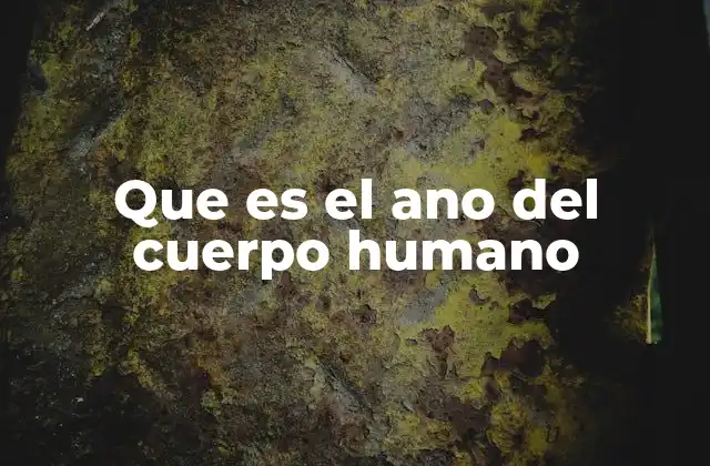 Que es el Ano Del Cuerpo Humano