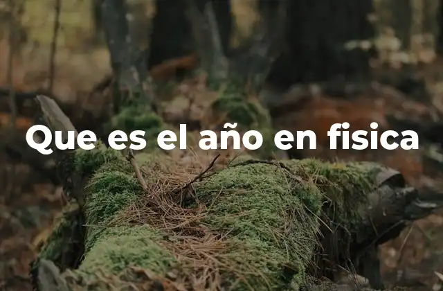 Que es el Año en Fisica