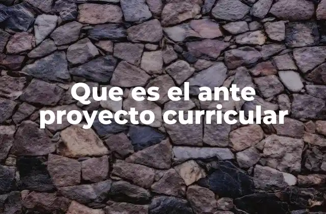 Que es el ante Proyecto Curricular