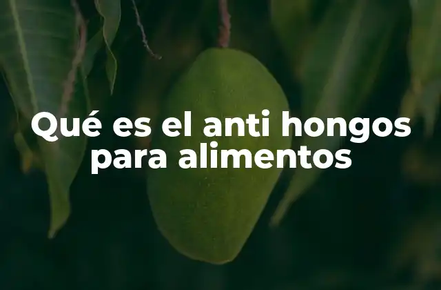 Qué es el Anti Hongos para Alimentos