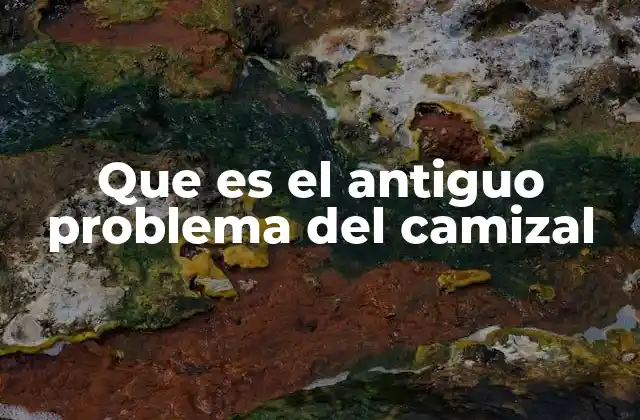Que es el Antiguo Problema Del Camizal