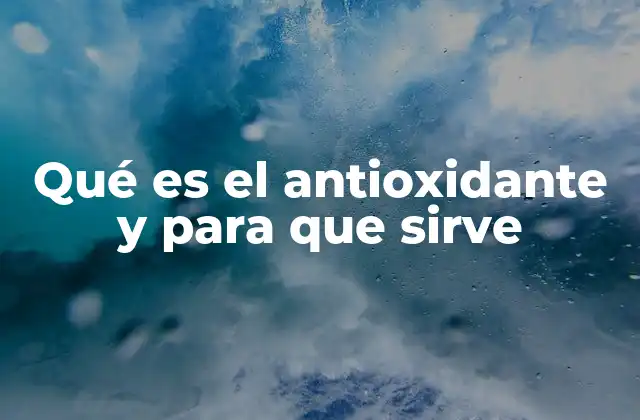 Qué es el Antioxidante y para que Sirve