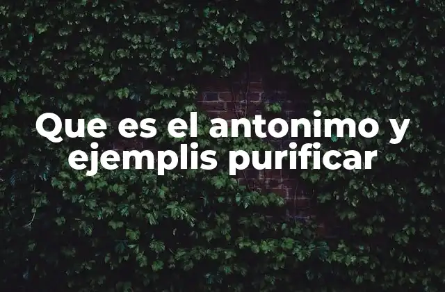 Que es el Antonimo y Ejemplis Purificar 2 La relación entre purificar y sus antónimos en el lenguaje cotidiano