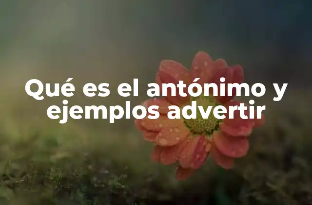 Qué es el Antónimo y Ejemplos Advertir