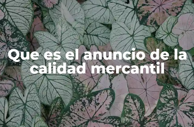 La importancia de la publicidad en el derecho mercantil