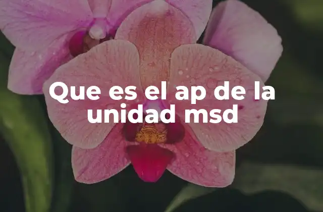 Que es el Ap de la Unidad Msd 2 El rol del AP en el sistema de salud primario