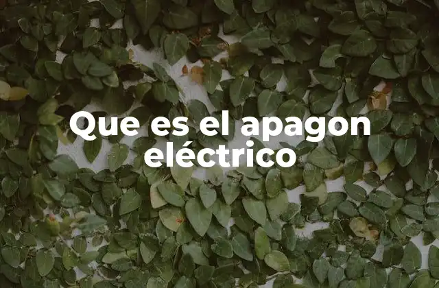 Que es el Apagon Eléctrico