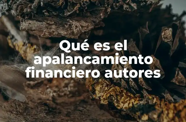 Qué es el Apalancamiento Financiero Autores