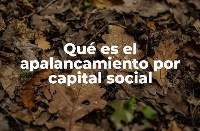 Qué es el Apalancamiento por Capital Social
