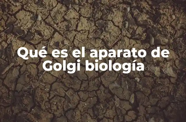 Qué es el Aparato de Golgi Biología