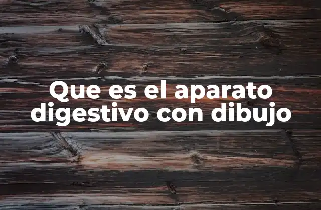 Que es el Aparato Digestivo con Dibujo