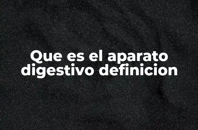 Cómo el sistema digestivo transforma los alimentos en energía