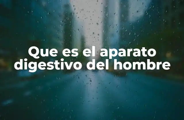 Que es el Aparato Digestivo Del Hombre