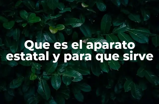 Que es el Aparato Estatal y para que Sirve