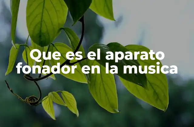 Que es el Aparato Fonador en la Musica