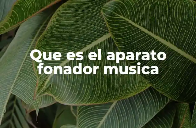 Que es el Aparato Fonador Musica
