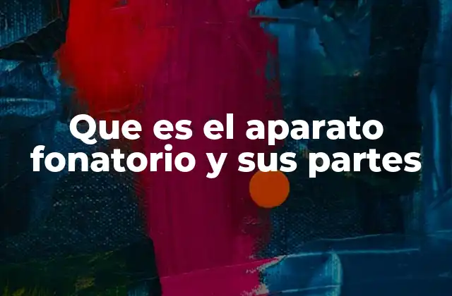 El funcionamiento del sistema que permite hablar