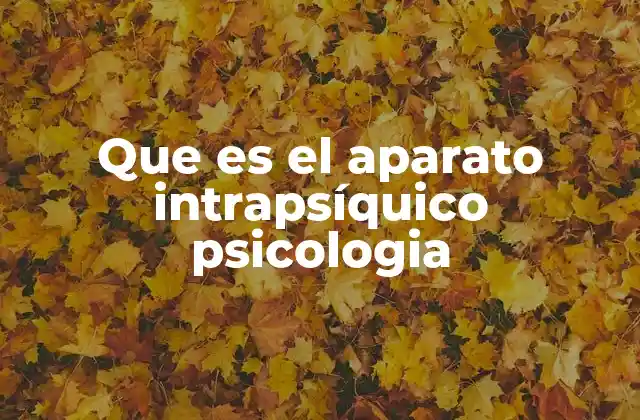 Que es el Aparato Intrapsíquico Psicologia