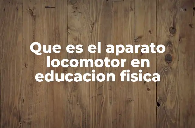 Que es el Aparato Locomotor en Educacion Fisica