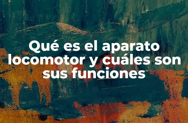 Qué es el Aparato Locomotor y Cuáles Son Sus Funciones