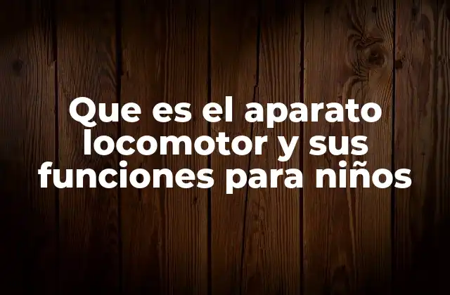 Que es el Aparato Locomotor y Sus Funciones para Niños