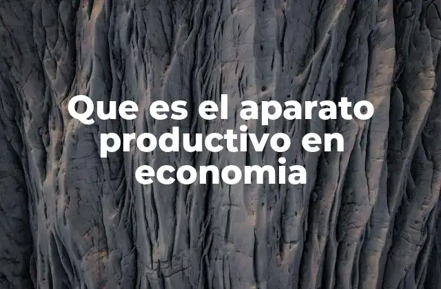 Que es el Aparato Productivo en Economia